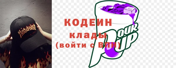 apvp Вяземский