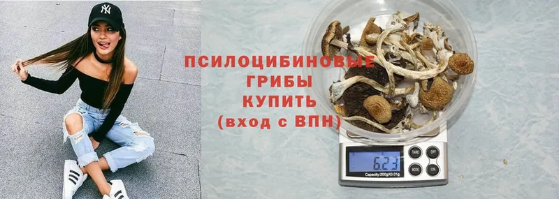 Псилоцибиновые грибы MAGIC MUSHROOMS  Лангепас 